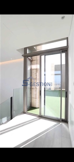 Apartment For V Rented external