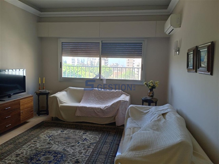 Apartment For Rent Furnished