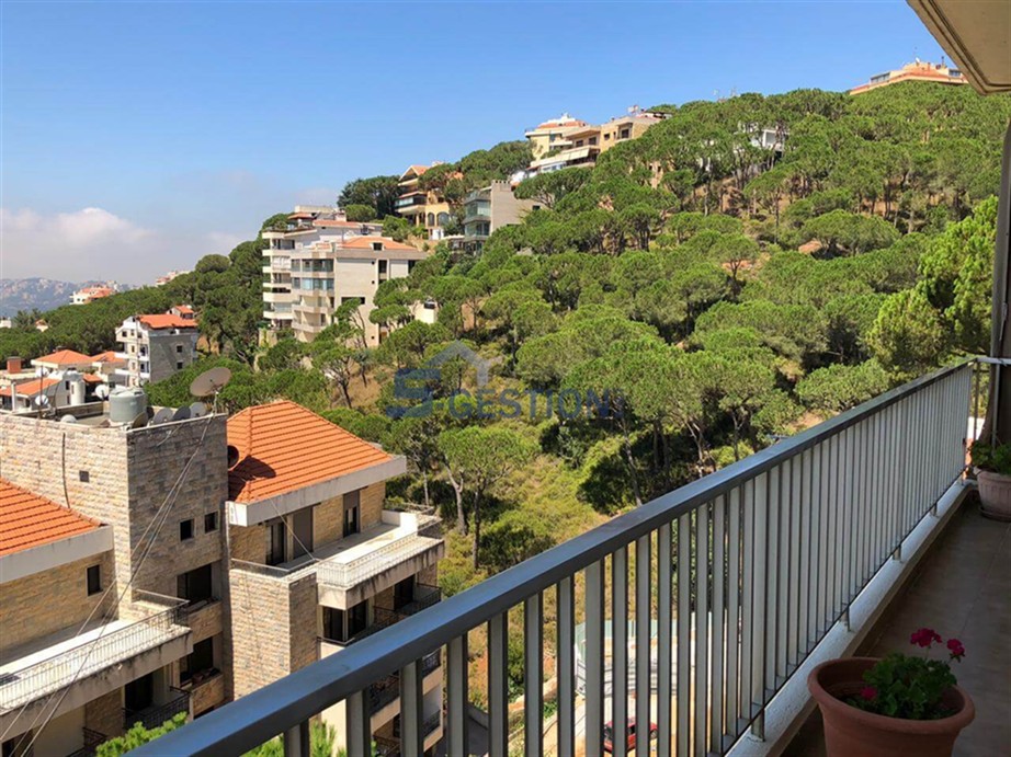 Apartment For Rent Furnished