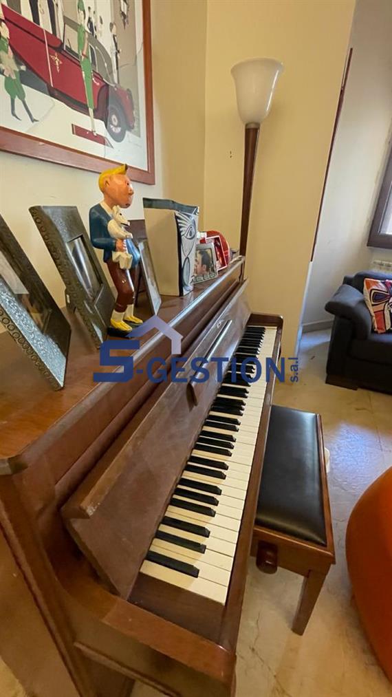 Apartment For Rent Furnished