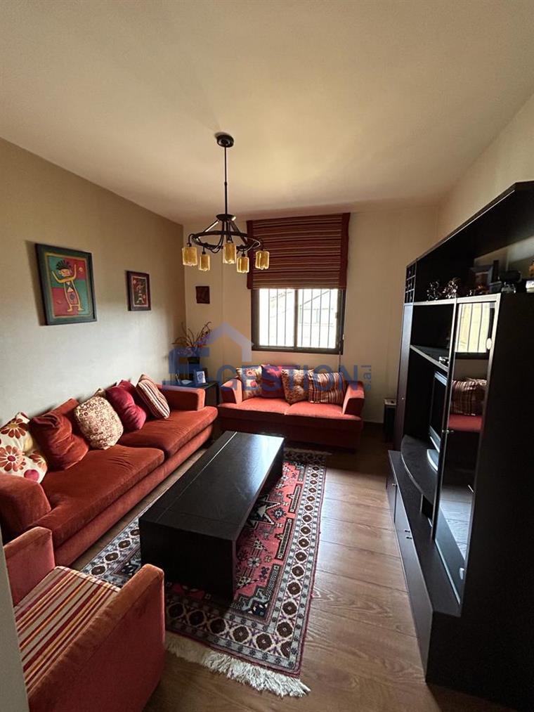 Apartment For Rent Furnished