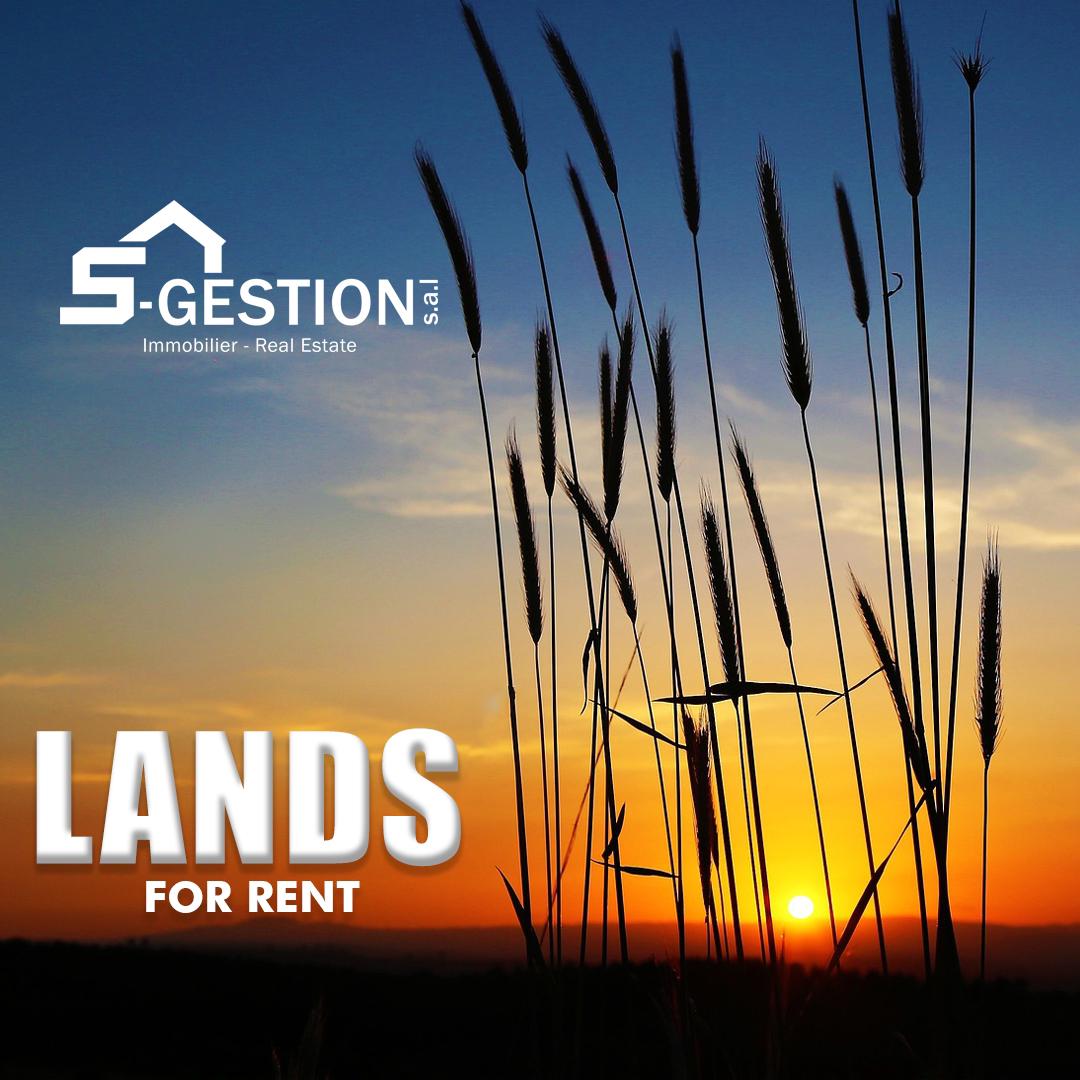 Land For Rent