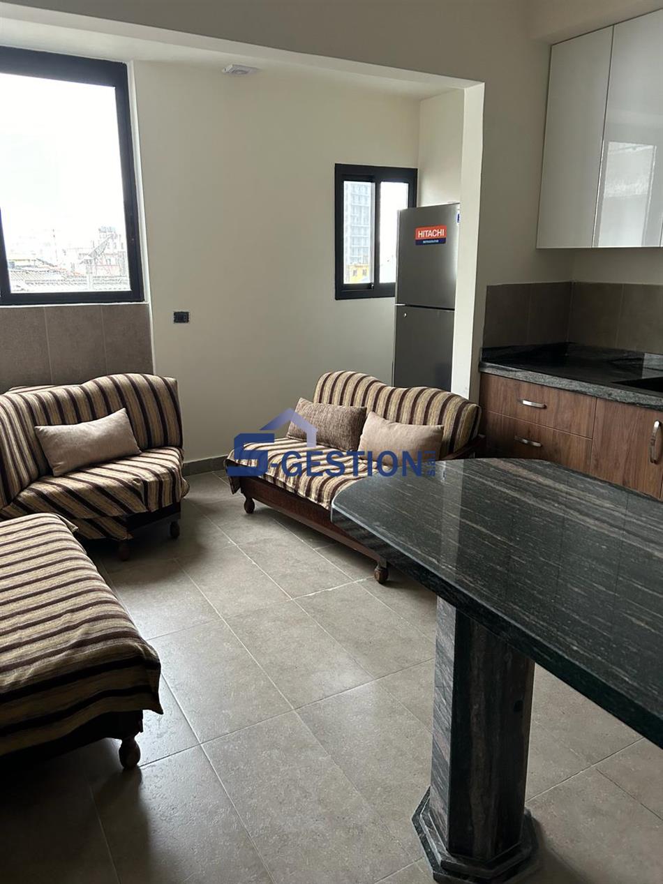 Apartment For Rent Furnished
