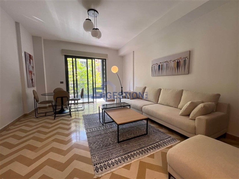 Apartment For Rent Furnished