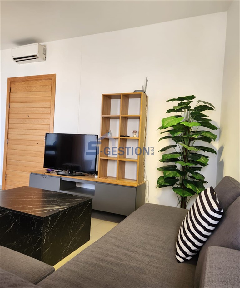 Apartment For Rent Furnished