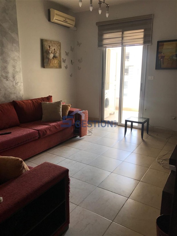 Apartment For Rent Furnished