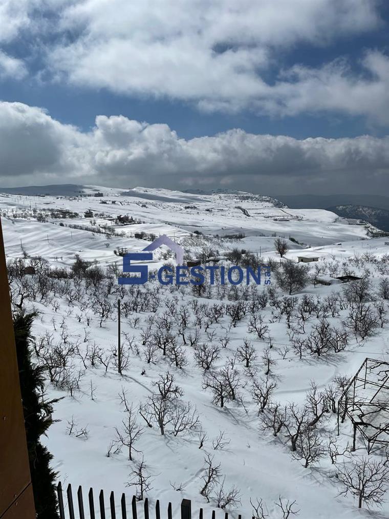 Chalet For Sale