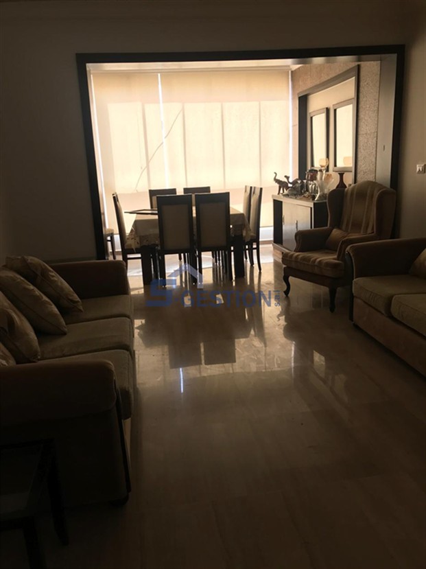 Apartment For Rent Furnished