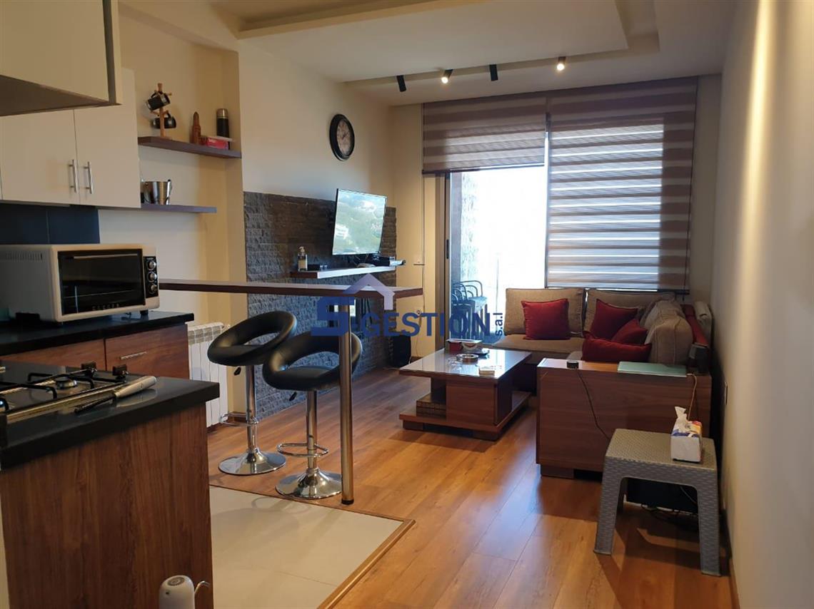 Chalet à Vendre