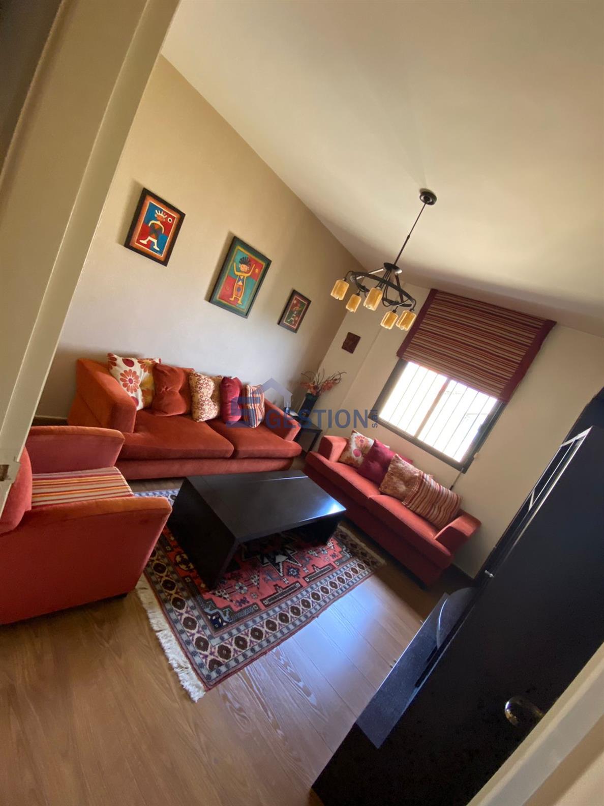 Apartment For Rent Furnished