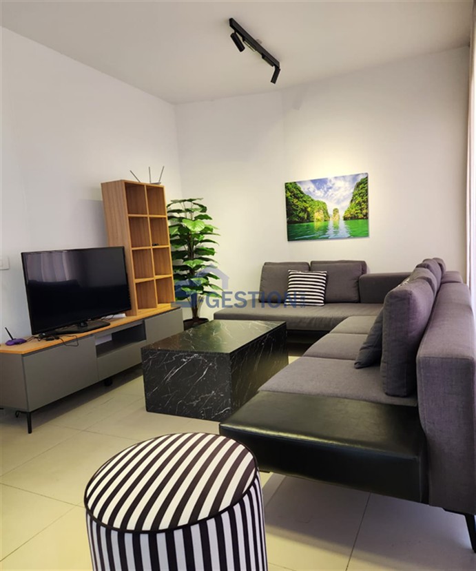 Apartment For Rent Furnished