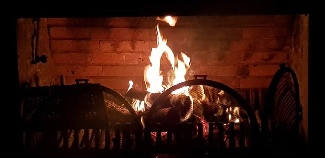 Villa   Individual House For Rent