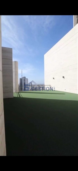 Apartment For V Rented external