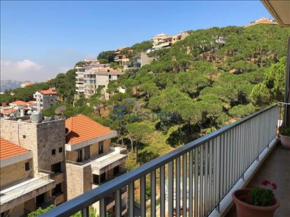 Apartment For Rent Furnished