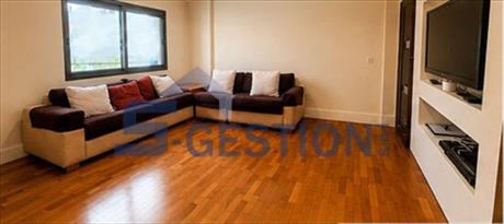 Apartment For Rent Furnished