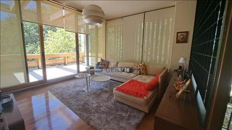 Villa   Individual House For Rent...