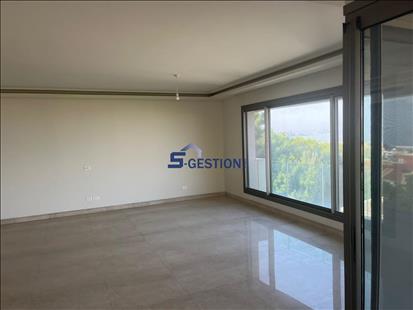 Apartment For V Rented external